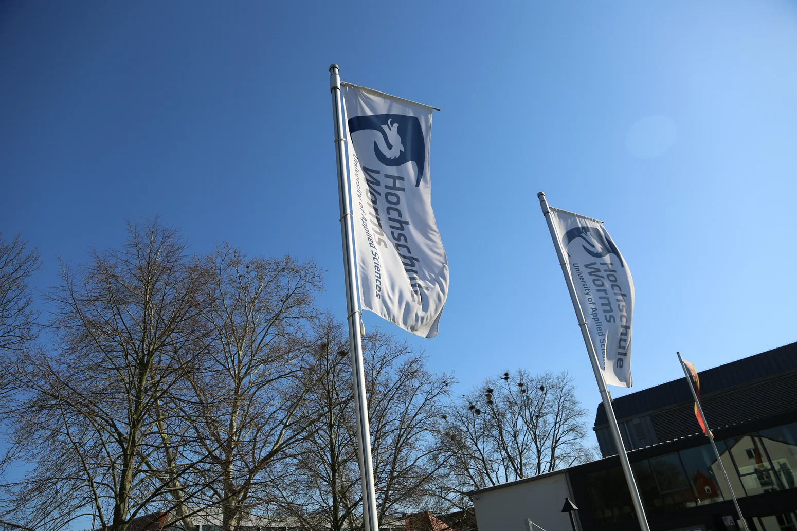 Campus Fahne