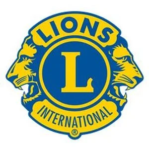 Logo von Team Lions