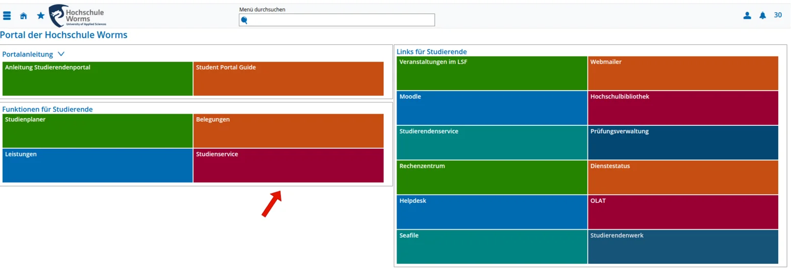 ICMS Bib Einwilligung 1